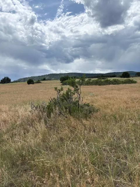 lot8 SW Lago Vistas Blvd, Colorado City, CO 81019