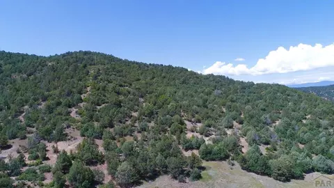 Other - 25850 River Pines Rd, Aguilar, CO 81020 photo 21 of 26