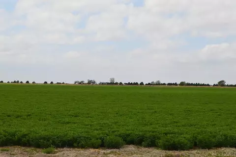 tbd Road 24, La Junta, CO 81050 photo 2