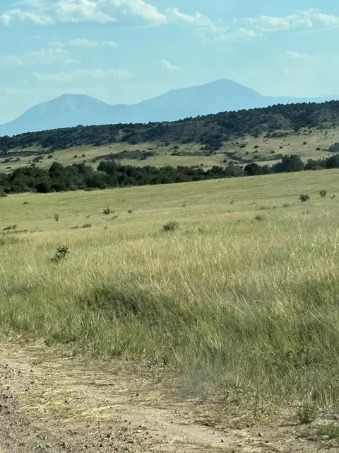 lot133 Ghost River Rnch, Rye, CO 81069 photo 4