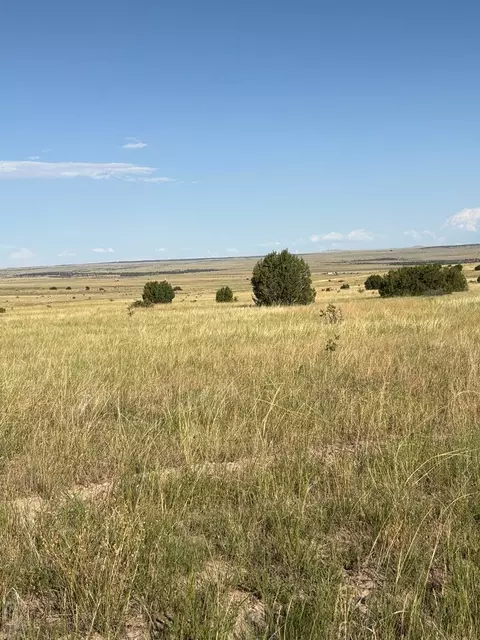 lot133 Ghost River Rnch, Rye, CO 81069 photo 3