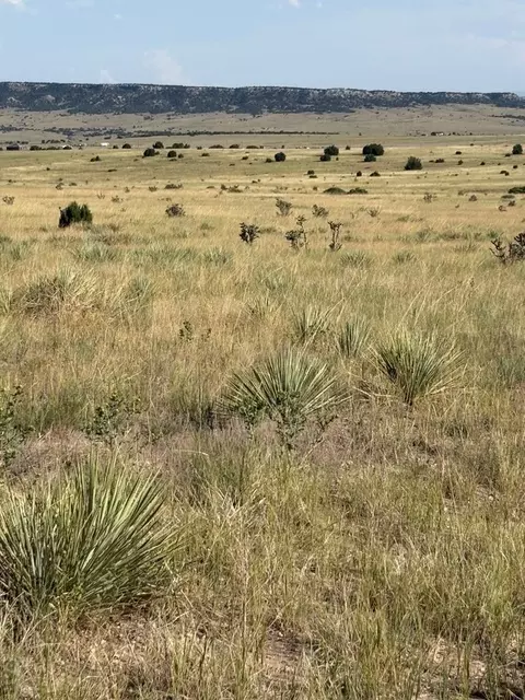 lot133 Ghost River Rnch, Rye, CO 81069 photo 5