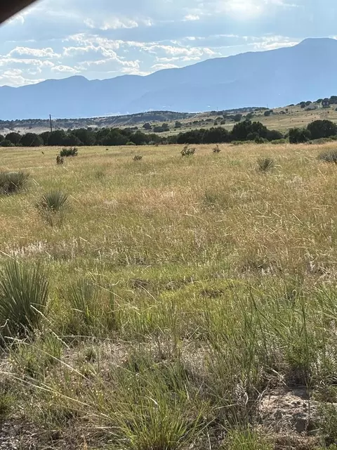 lot133 Ghost River Rnch, Rye, CO 81069 photo 2