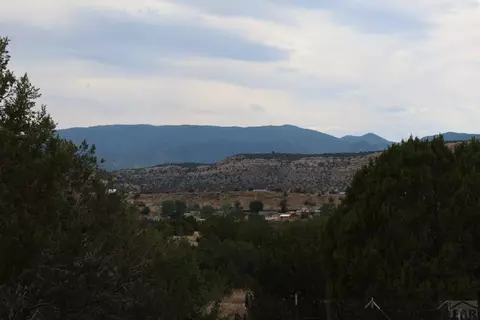 5 Cory Ln, Williamsburg, CO 81226 photo 45