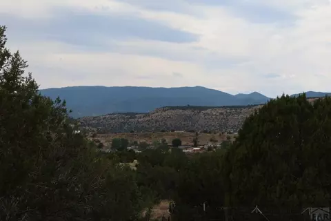 5 Cory Ln, Williamsburg, CO 81226 photo 64