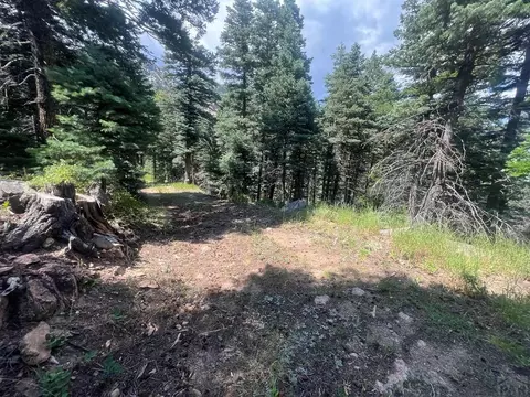 tbd Bartlett Trl, Rye, CO 81069 photo 9