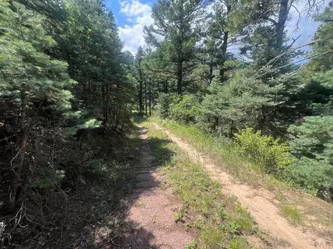 tbd Bartlett Trl, Rye, CO 81069 photo 6
