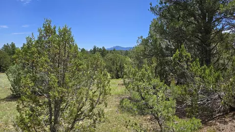 20 Colorado Mountain Lake Ests, Trinidad, CO 81082