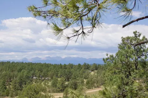 tbd Lark Bunting Ln, Weston, CO 81089
