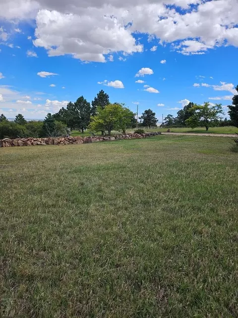 Exterior - 1413 County Rd 671, Rye, CO 81069 photo 4 of 12