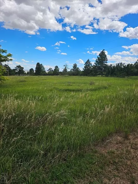Other - 1413 County Rd 671, Rye, CO 81069 photo 12 of 17