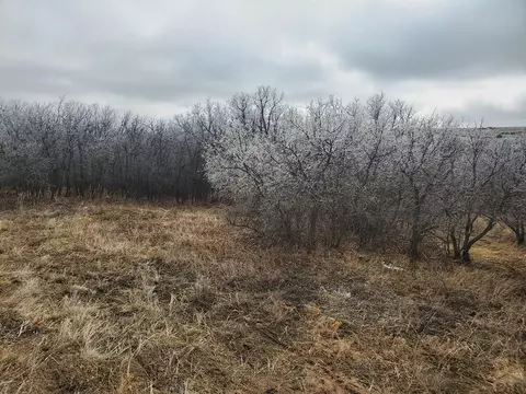 tbd Thacker Rd, Colorado City, CO 81069 photo 3