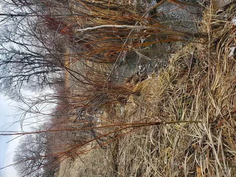 tbd Thacker Rd, Colorado City, CO 81069 photo 6