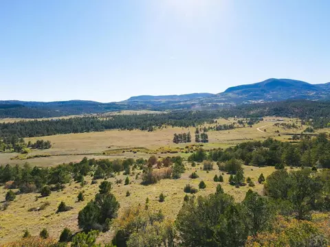 000 Rosebush Rd, Canon City, CO 81212