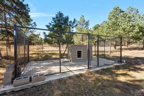 Other - 8068 Elna, Rye, CO 81069 photo 15 of 20