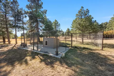 Other - 8068 Elna, Rye, CO 81069 photo 14 of 20