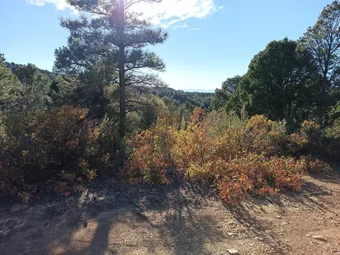 lot86 Ponderosa Hls, Trinidad, CO 81082