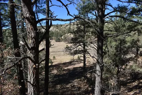 lot268 269 Rancho La Garita, Weston, CO 81091