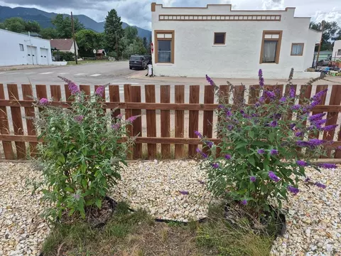 Exterior - 2087 Main St, Rye, CO 81069 photo 4 of 8