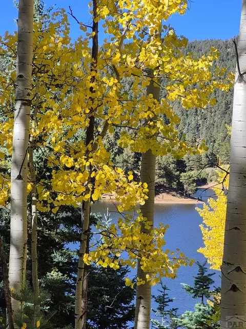 View/Area - 2087 Main St, Rye, CO 81069 photo 1 of 1