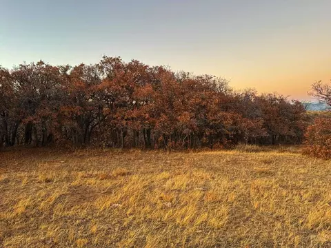 168 Colorado Land And Grazing, Gardner, CO 81040 photo 8