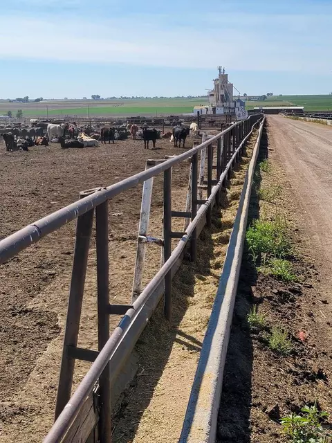 38252 County Rd 8, Lamar, CO 81052 photo 7