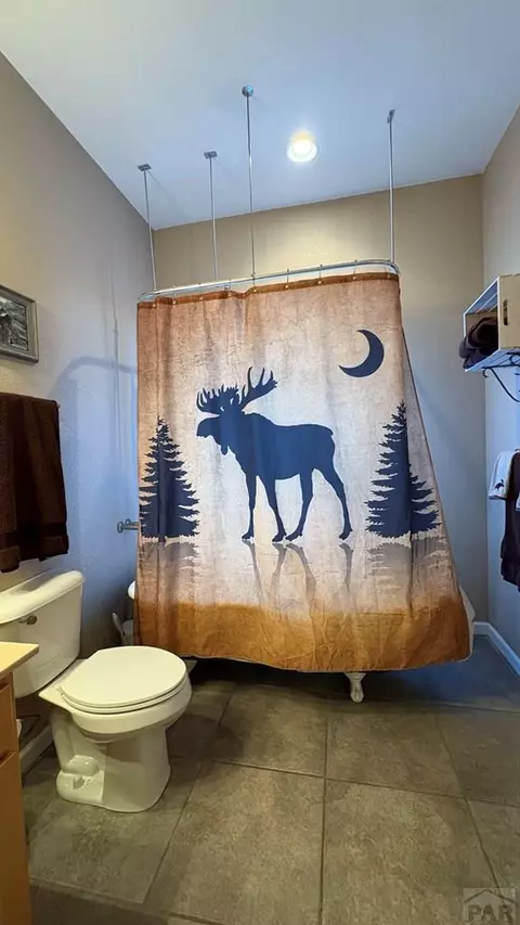 Bath - 8295 Green Ln, Rye, CO 81069 photo 2 of 11