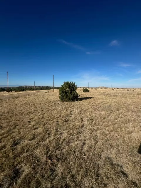 lot11 Cedarwood Sta, Rye, CO 81004
