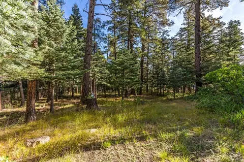 Exterior - 8262 William Dr, Rye, CO 81069 photo 20 of 26