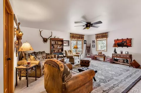 Living - 8262 William Dr, Rye, CO 81069 photo 7 of 9