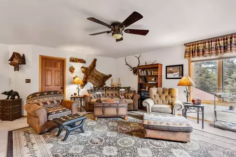 Living - 8262 William Dr, Rye, CO 81069 photo 8 of 9