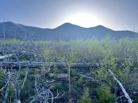 tbd Ellenz Rd, La Veta, CO 81055