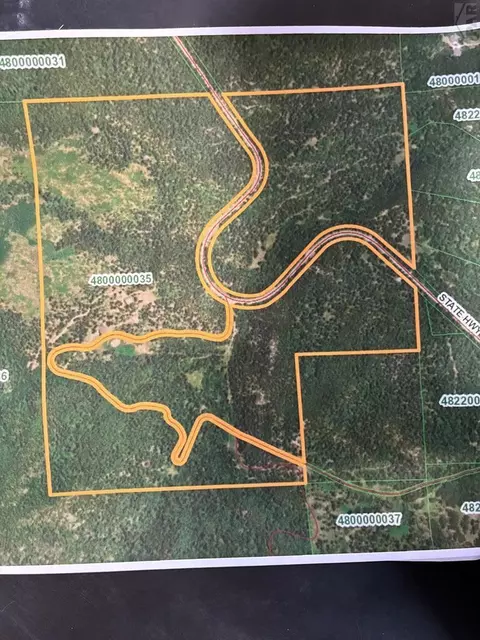 9126 Hwy 165, Rye, CO 81069 photo 46