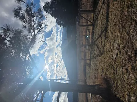 Other - 8152 Pine Dr, Rye, CO 81069 photo 2 of 4