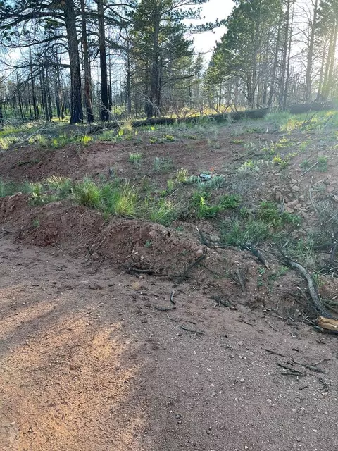 lot542 Forbes Pk, Fort Garland, CO 81133