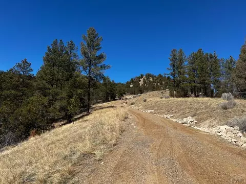 tbd County Rd 233, Weston, CO 81091