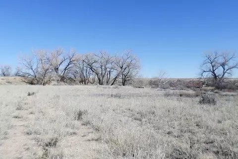 62415 E Highway 96, Boone, CO 81025 photo 15