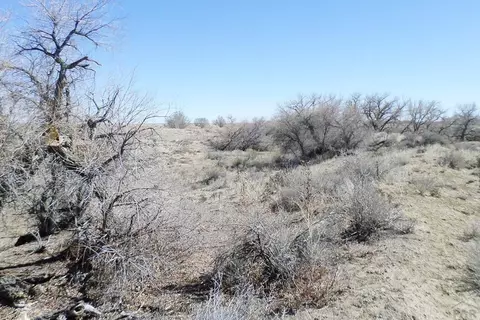 62415 E Highway 96, Boone, CO 81025 photo 7