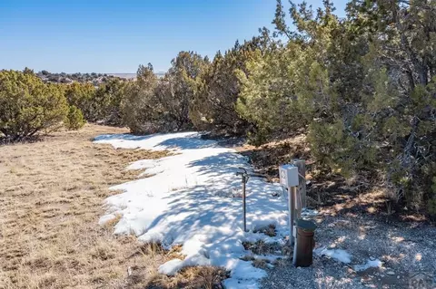 lot102 Ghost River Rnch, Rye, CO 81089 photo 8