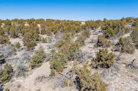 lot102 Ghost River Rnch, Rye, CO 81089 photo 46