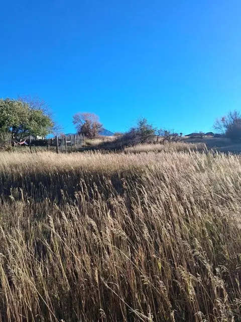 tbd E Grand St, La Veta, CO 81055