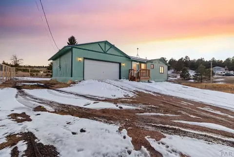 1014 Elfin Glen Dr, Divide, CO 80814 photo 9