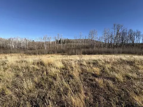1654 Cary Ln, Fort Garland, CO 81133