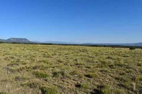 000 Lizard Ln, Gardner, CO 81040 photo 9
