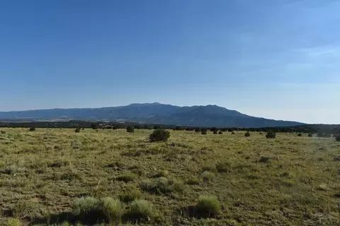 000 Lizard Ln, Gardner, CO 81040 photo 10