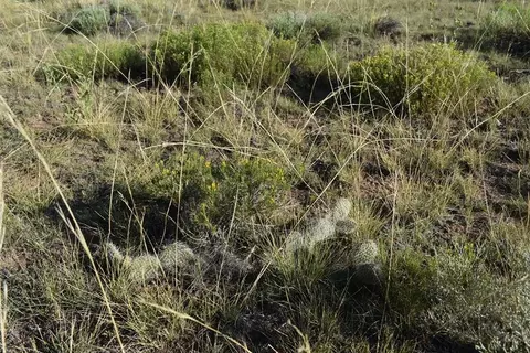 000 Lizard Ln, Gardner, CO 81040 photo 5