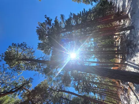 tbd Zorn Rd, Rye, CO 81069