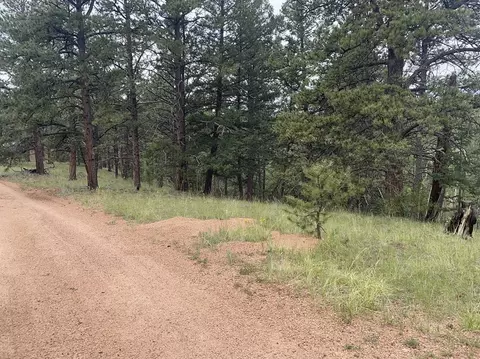 452 Wilson St, Cripple Creek, CO 80813