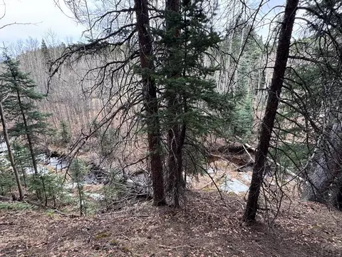 132 Aspen Acres, Rye, CO 81252 photo 8