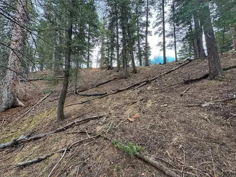 132 Aspen Acres, Rye, CO 81252 photo 11